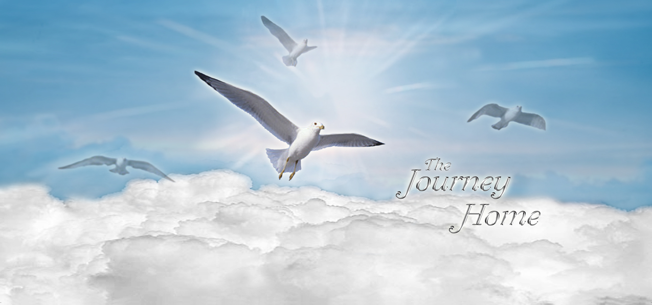 P 101 BL Journey Home Clouds Birds Blue